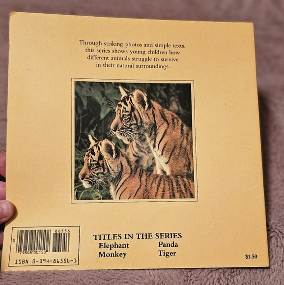 Animals in the Wild: Tiger by Mary Hoffman - Picture 2 of 4